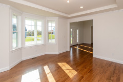 Living room and entryway